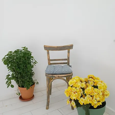 Blue Bergamote Syros Ermoupoli