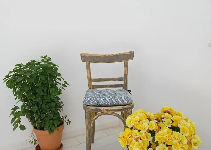 Blue Bergamote Syros Ermoupoli